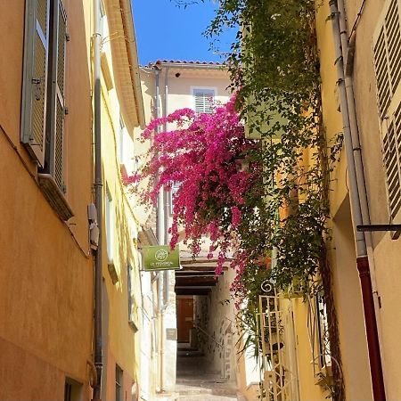 Appartement Palmiers, Coeur De Ville Sur Le Parcours Des Arts Hyères Zewnętrze zdjęcie